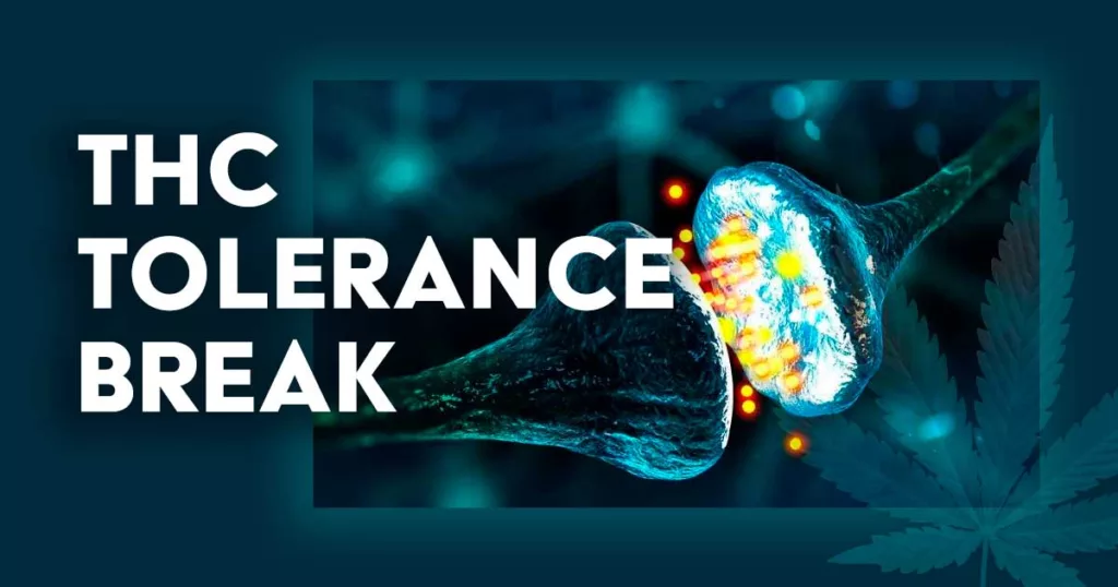 THC Tolerance break image
