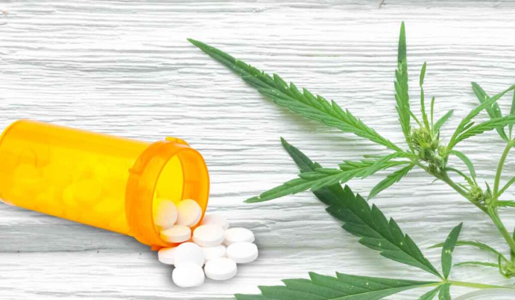 Opioids vs Weed