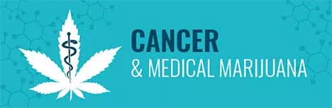 Read more about the article Cannabis & Cancer