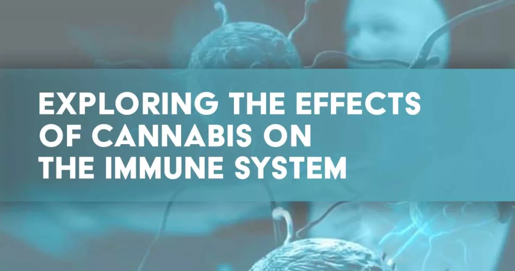 Read more about the article Does Cannabis Do a Body Good? Exploring the Effects of Cannabis on the Immune System