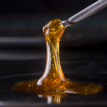 CONCENTRATES