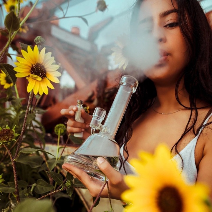 What is Cannabis Flower_
